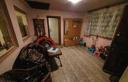 Casa 80 mp, 1600 mp teren, Budila