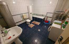 Casa 80 mp, 1600 mp teren, Budila