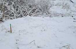 Teren pentru constructie de case sau duplex, Certificat de urbanism, zona Tauti