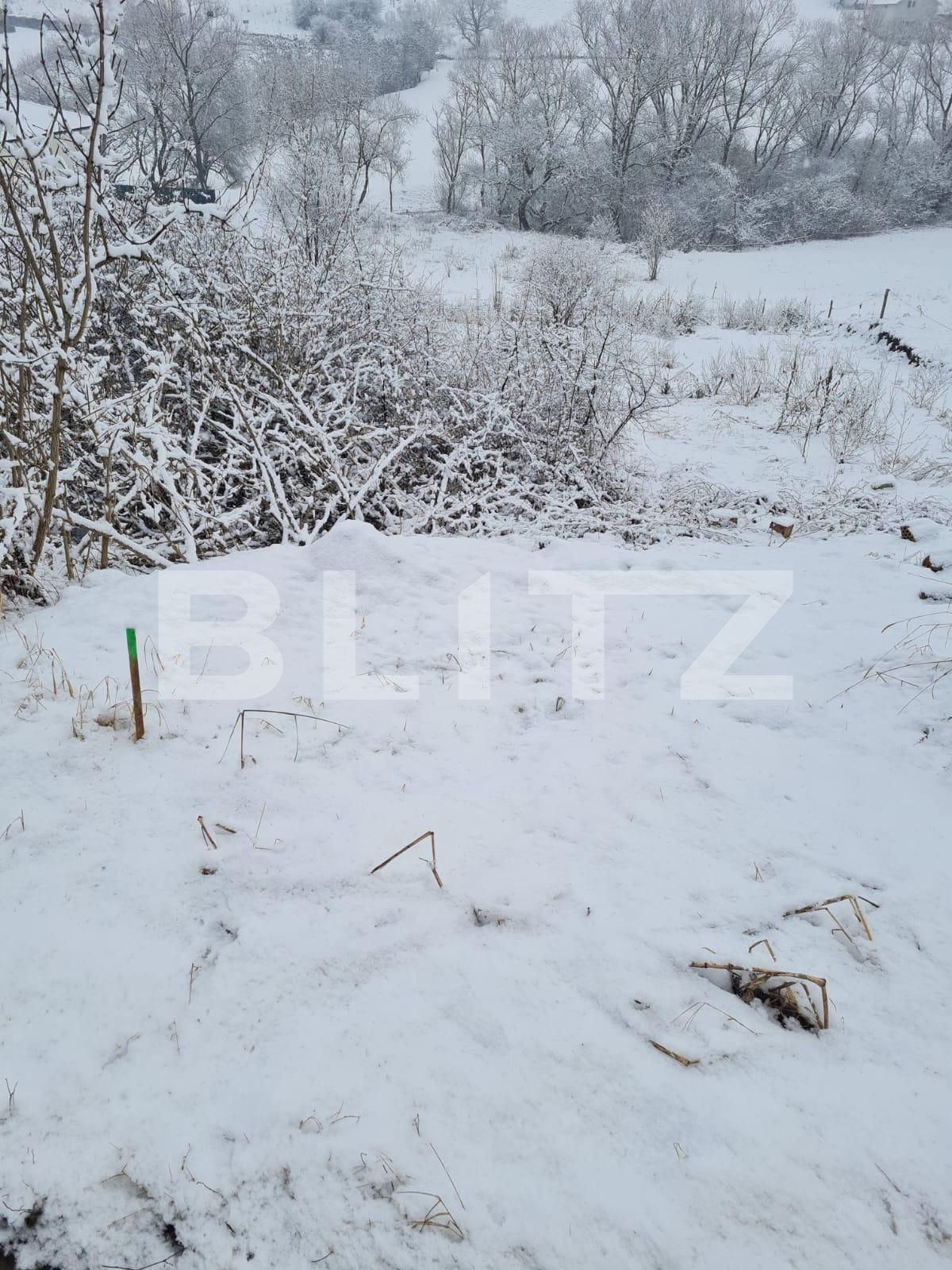 Teren de vânzare Floreşti - 81633TV | BLITZ Cluj-Napoca | Poza2