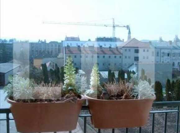 Apartament de închiriat 2 camere Central - 8165AI | BLITZ Cluj-Napoca | Poza6