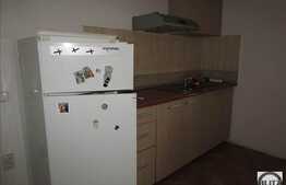 Apartament  1 camera, 33 mp, zona strazii Decebal