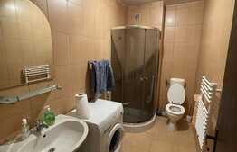 Garsoniera 45 mp, etaj intermediar, zona Piata Mihai Viteazul