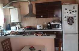 Apartament 2 camere, 60 mp, la cheie, zona Muzeul Apei