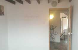 Investitia ideala! Hostel, 245 mp, Centrul Istoric