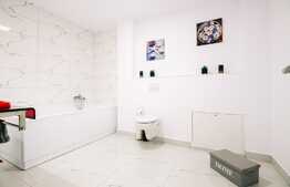 Penthouse exclusivist cu 6 camere pe 2 niveluri, 146 mp, mobilat lux, terasa circulara 70 mp, 2 parcari, zona Campului 