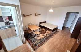 Garsoniera 28 mp, perfecta pentru investitie, zona Parcul Colina