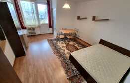 Garsoniera 28 mp, perfecta pentru investitie, zona Parcul Colina