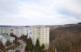 Garsoniera de 32 mp, zona strazii Parang, Manastur 