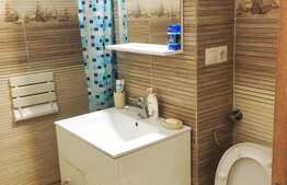 Garsoniera confort sporit! Mobilata si utilata, balcon, zona Piata Flora