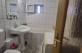 Apartament 3 camere, etaj intermediar, Orientare SUD-VESTICA, Plopilor