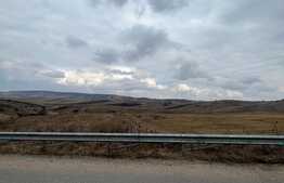 Teren intravilan de 5500 mp, front 35 ml, Salistea Noua, 12km de la Lidl