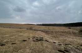 Teren intravilan de 5500 mp, front 35 ml, Salistea Noua, 12km de la Lidl