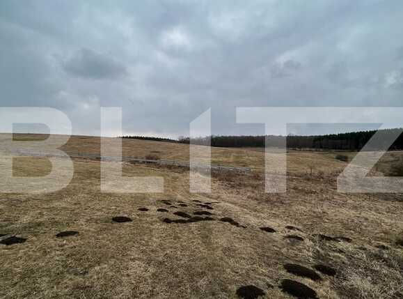 Teren de vânzare Exterior Nord - 81737TV | BLITZ Cluj-Napoca | Poza1