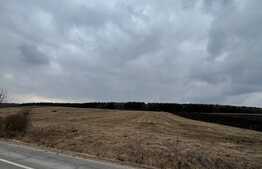 Oportunitate investitie! Teren de 8500 mp in extravilanul Salistea Noua