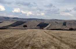 Oportunitate investitie! Teren de 8500 mp in extravilanul Salistea Noua