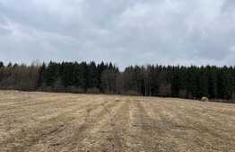 Oportunitate investitie! Teren de 8500 mp in extravilanul Salistea Noua