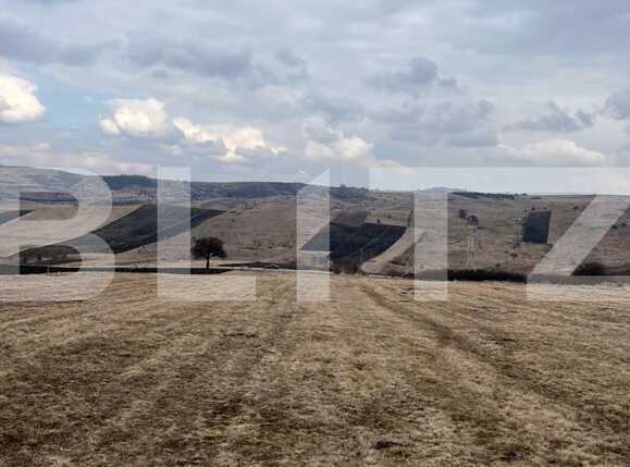 Teren de vânzare Exterior Nord - 81742TV | BLITZ Cluj-Napoca | Poza3