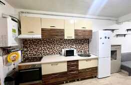 Apartament 2 camere, 40 mp, pet friendly, zona Terra