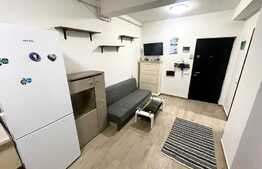 Apartament 2 camere, 40 mp, pet friendly, zona Terra