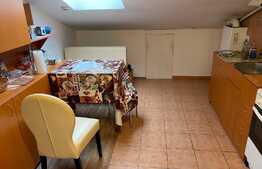 Garsoniera de 56 mp, mobilata, zona strazii Campului!