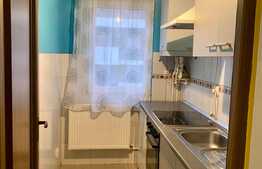 Apartament 2 camere , bloc nou, pet friendly, Iris