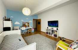 Oportunitate! Apartament de 2 camere decomandate, 59 mp, terasa 34 mp, garaj, Taietura Turcului