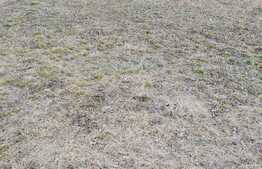 Teren extravilan cu front de 20 ml, zona strazii Stejarului