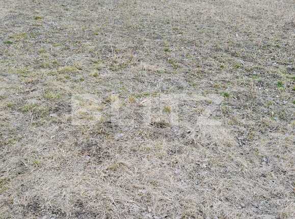 Teren de vânzare Floreşti - 81930TV | BLITZ Cluj-Napoca | Poza1