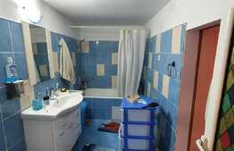 Casa individuala, 125 mp utili,  225 mp teren, Dambu Rotund 