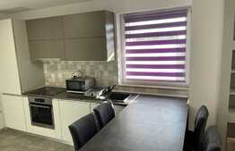 Apartament 2 camere, 45 mp, garaj, zona FSEGA