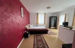 Exclusiv! Pensiune cu 11 apartamente, 450 mp utili, 1200 mp teren in comuna Baciu