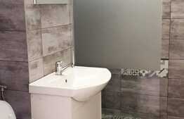 Apartament de 2 camere finisat modern, zona străzii Constantin Brâncuși