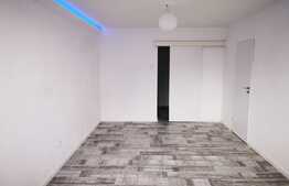 Apartament de 2 camere finisat modern, zona străzii Constantin Brâncuși