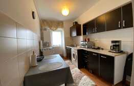 Apartament 2 camere, 56 mp, pet frendly, Zona pod Calvaria