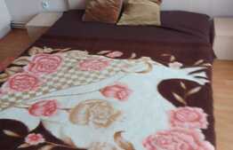 Apartament cu 3 camere, 67 mp, modern, zona strazii Alexandru Vlahuta