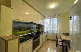 Apartament de 2 camere, 50 mp, prima inchiriere, semicentral