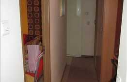 Vanzare apartament 2 camere, 48 mp utili, zona Hateg, cu boxa