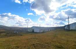 Oportunitate de investitie! Ferma situata in intravilanul comunei Cojocna, 5 Ha cu hale, atelier si spatii de cazare! 