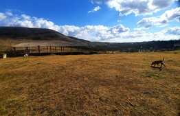 Oportunitate de investitie! Ferma situata in intravilanul comunei Cojocna, 5 Ha cu hale, atelier si spatii de cazare! 