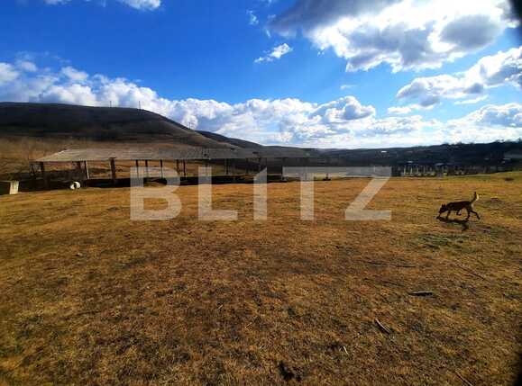 Teren de vânzare Exterior Est - 82070TV | BLITZ Cluj-Napoca | Poza7