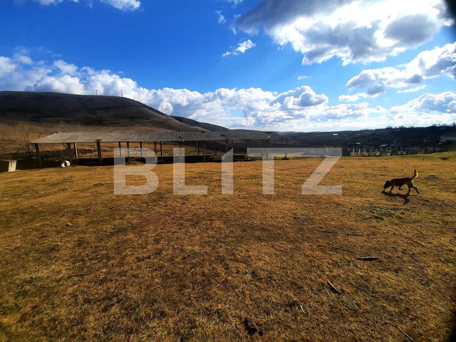 Teren de vânzare Exterior Est - 82070TV | BLITZ Cluj-Napoca | Poza7