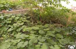 De vanzare apartament cu 2 camere, 58 mp, cu terasa de 34 mp, zona Polus.