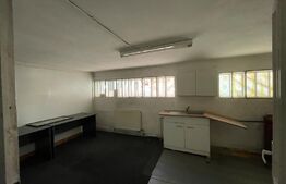 Hala industriala, 550 mp in Marasti, acces la sol