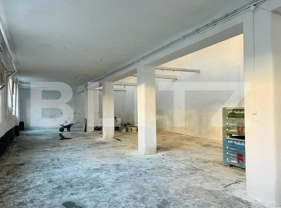 Spațiu industrial de închiriat Marasti - 82118SII | BLITZ Cluj-Napoca | Poza6