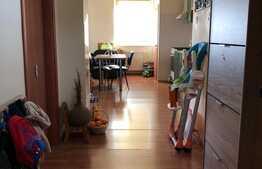 Apartament cu 2 camere, terasa, garaj si boxa in Andrei Muresanu