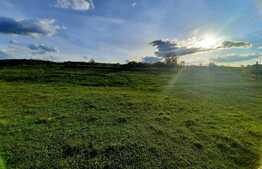 Teren cu suprafata de 2335 mp, PUZ in lucru, zona de case, Borhanci