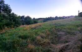 Teren intravilan de 3739 mp, situat in Feleacu 