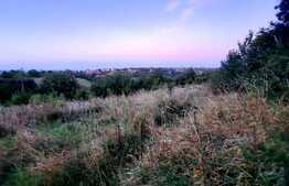 Teren intravilan de 3739 mp, situat in Feleacu 