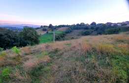 Teren intravilan de 3739 mp, situat in Feleacu 